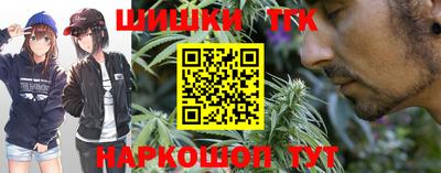 крисы Заводоуковск