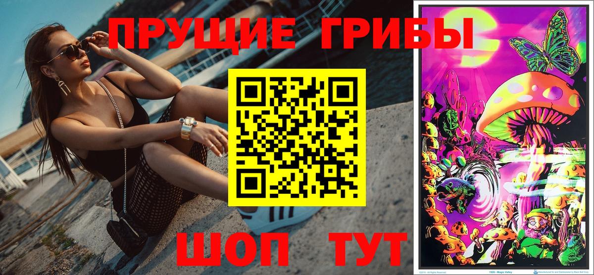 Галлюциногенные грибы Psilocybe Ставрополь