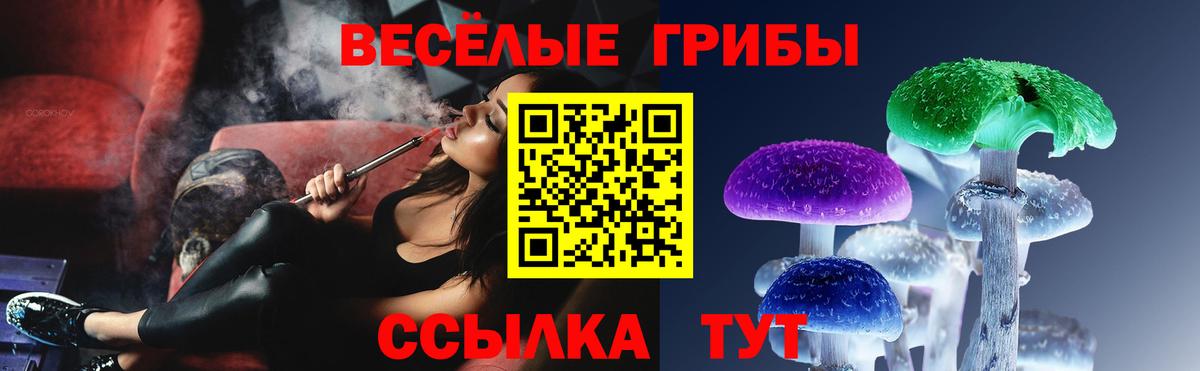 Ставрополь  Галлюциногенные грибы Psilocybe  Вход с VPN 